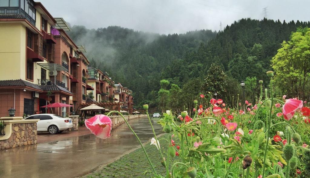 Hongjia Homestay 淳安県 エクステリア 写真